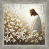 Consider The Lilies