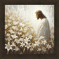 Consider The Lilies