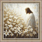 Consider The Lilies