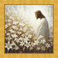 Consider The Lilies