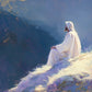 Contemplation