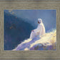 Contemplation