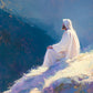 Contemplation
