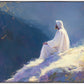Contemplation