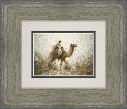 Through The Eye of a Needle