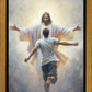 Open Arms