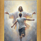 Open Arms