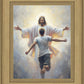 Open Arms