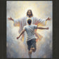 Open Arms