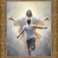 Open Arms