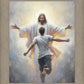 Open Arms