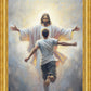 Open Arms