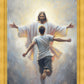Open Arms