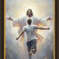 Open Arms