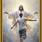 Open Arms