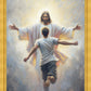 Open Arms