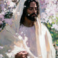 Abide