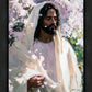 Abide