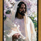 Abide