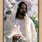 Abide