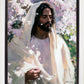 Abide