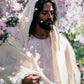 Abide