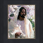 Abide