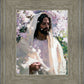 Abide