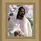 Abide