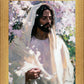 Abide