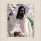 Abide