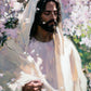 Abide