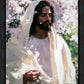 Abide