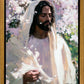 Abide