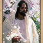 Abide