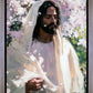 Abide