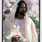 Abide