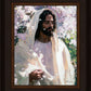Abide