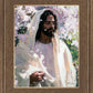 Abide