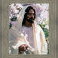 Abide