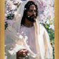 Abide