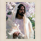 Abide