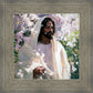 Abide