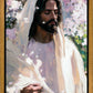 Abide