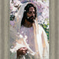 Abide