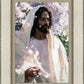 Abide