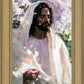 Abide