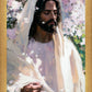 Abide