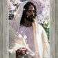 Abide