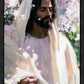 Abide